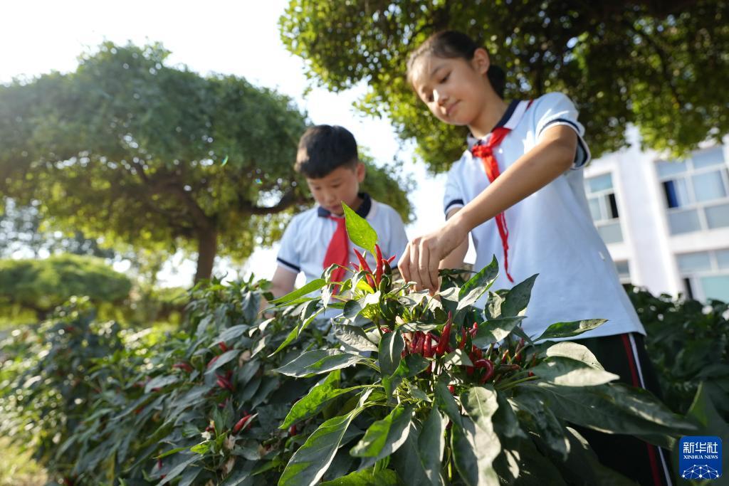 新2网址288880 - 首页